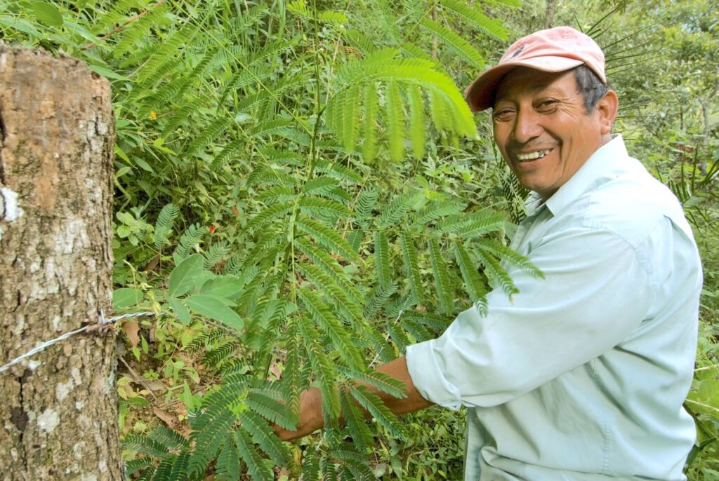 The story behind the man | Daniel Morrell