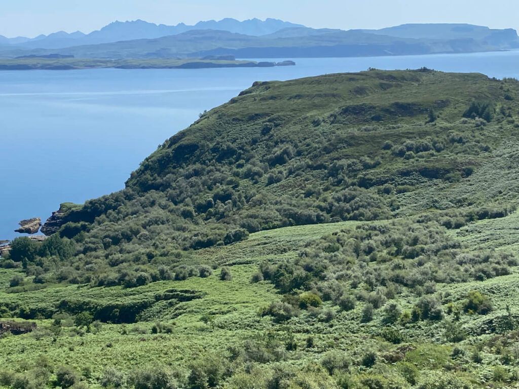 The story behind the man | Daniel Morrell