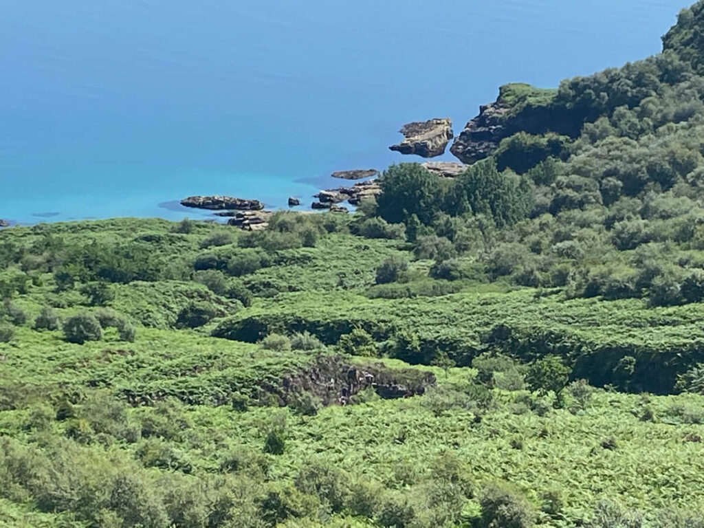 The story behind the man | Daniel Morrell