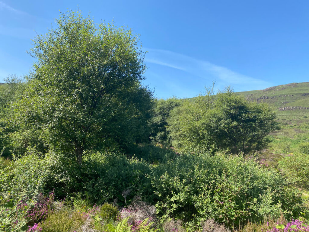 The story behind the man | Daniel Morrell