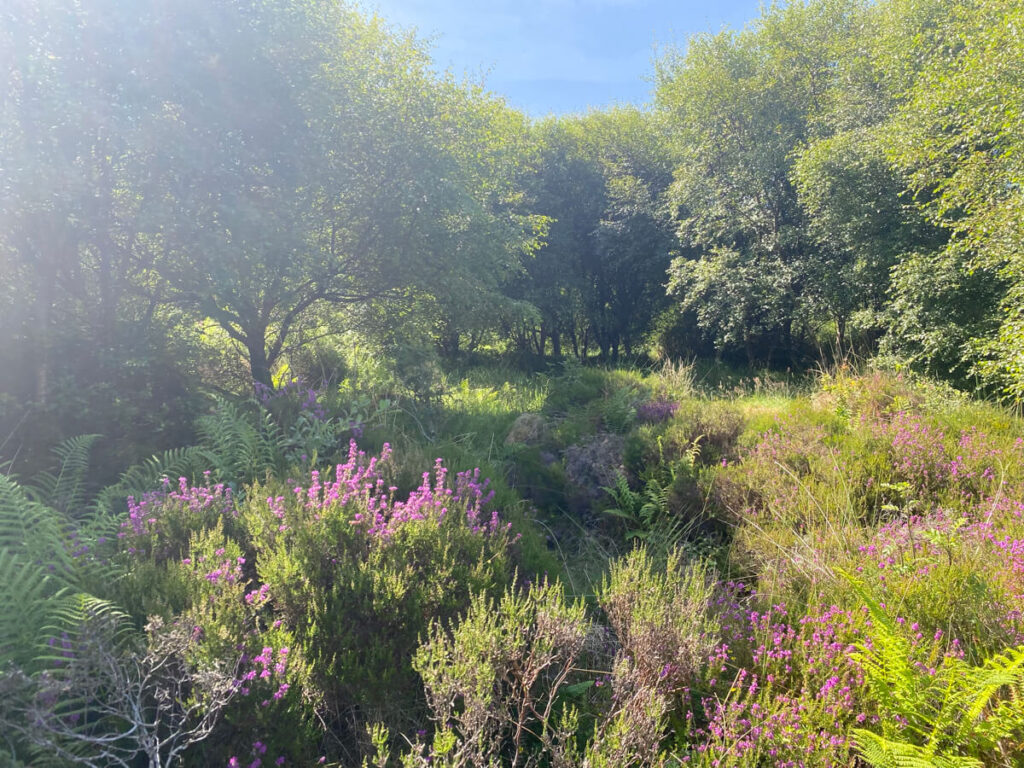 The story behind the man | Daniel Morrell