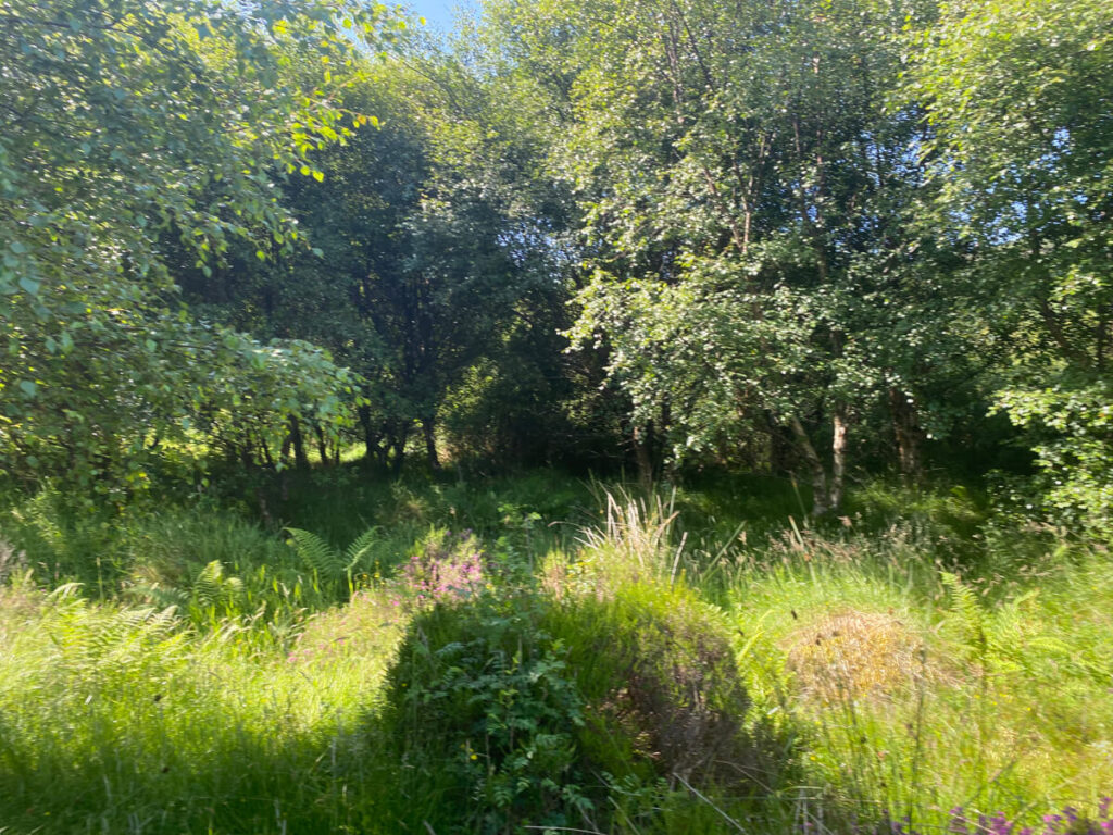 The story behind the man | Daniel Morrell