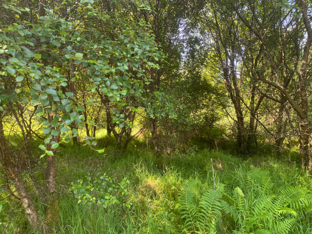 The story behind the man | Daniel Morrell