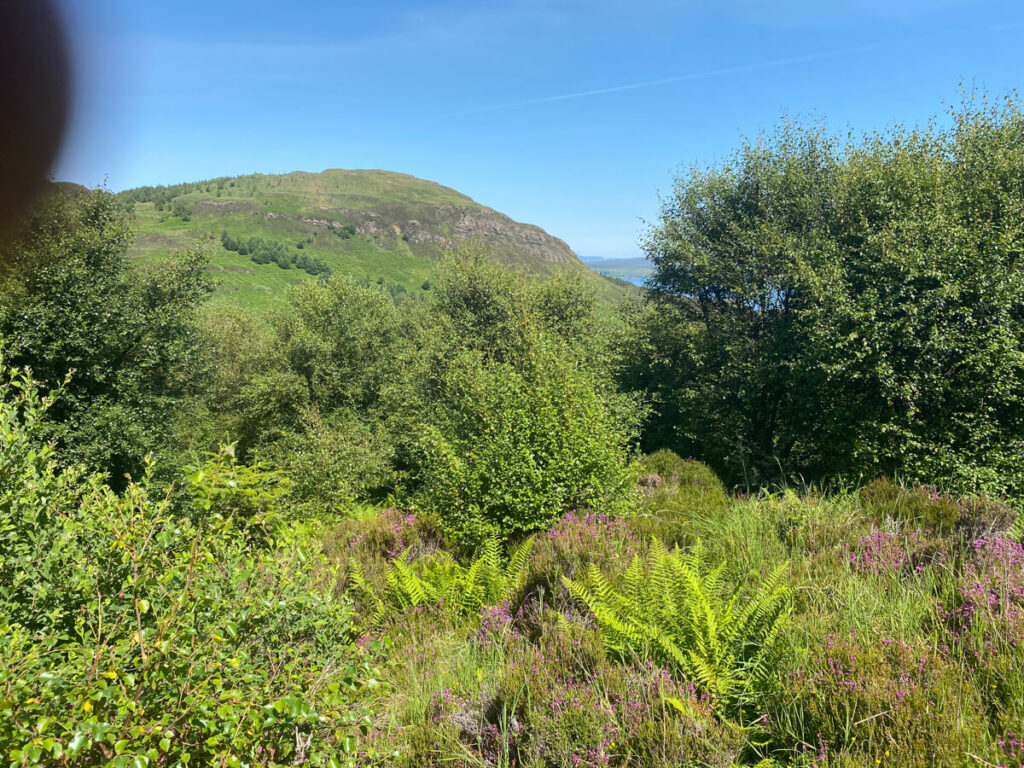 The story behind the man | Daniel Morrell