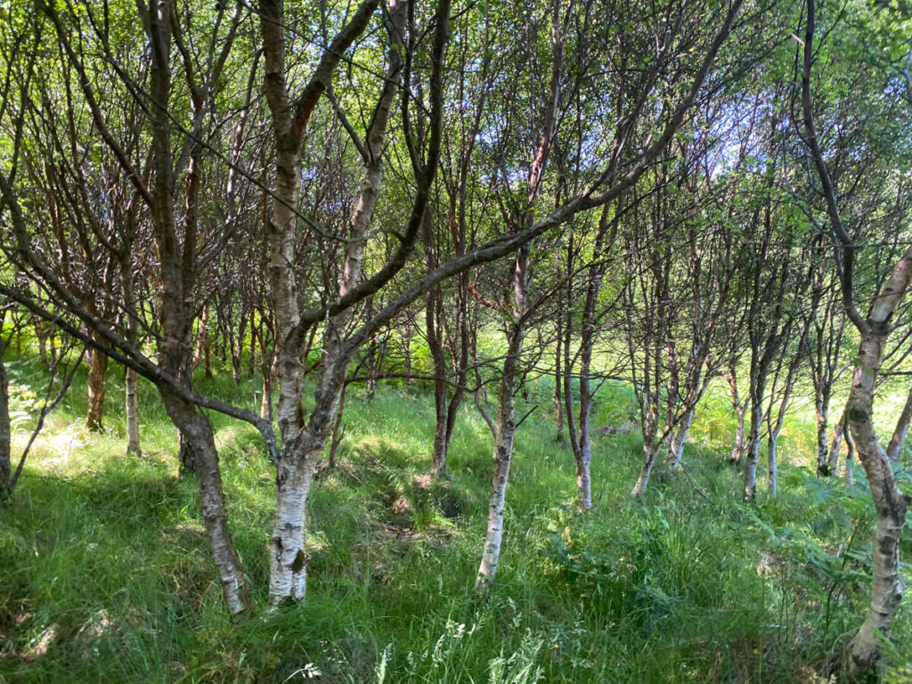 The story behind the man | Daniel Morrell