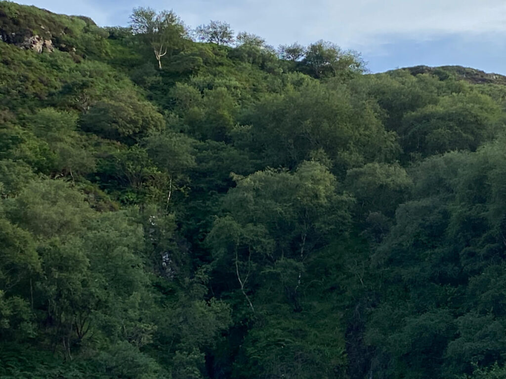 The story behind the man | Daniel Morrell