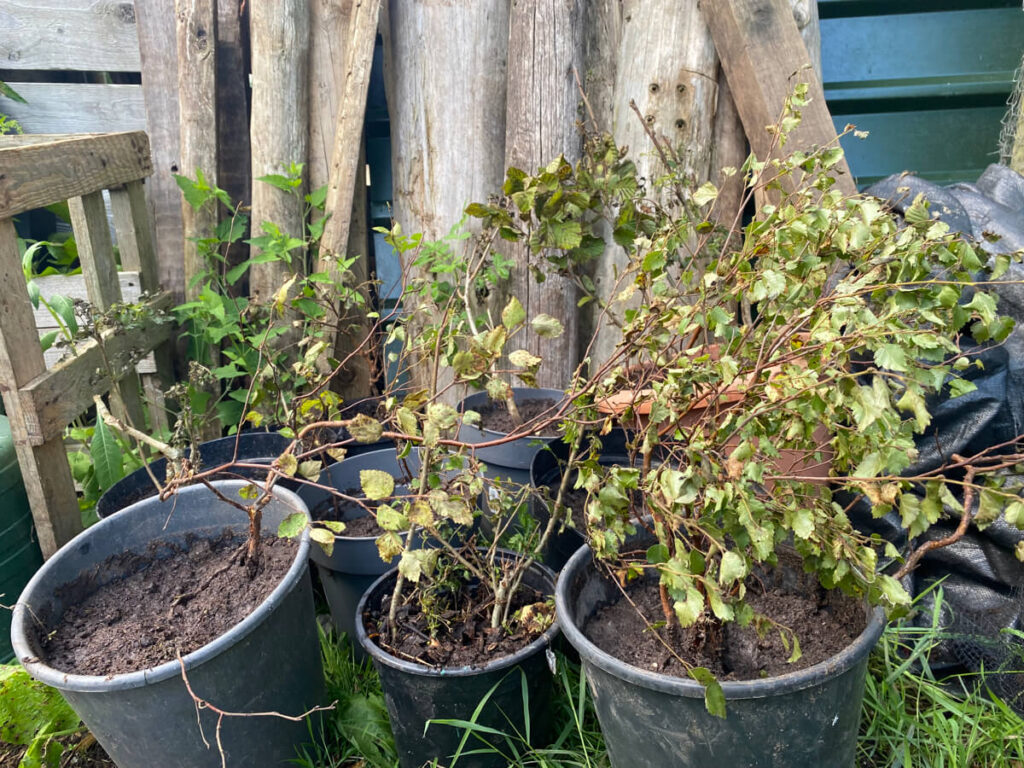 The story behind the man | Daniel Morrell