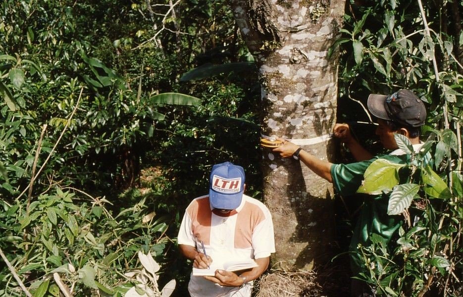 The story behind the man | Daniel Morrell