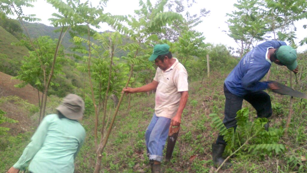 The story behind the man | Daniel Morrell