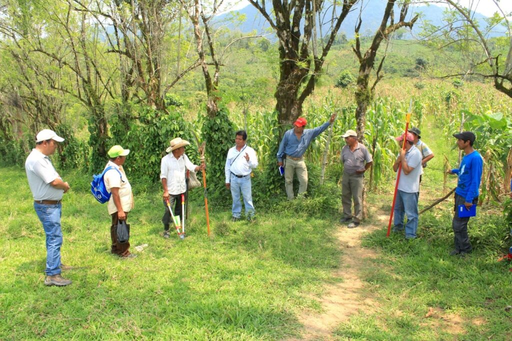 The story behind the man | Daniel Morrell