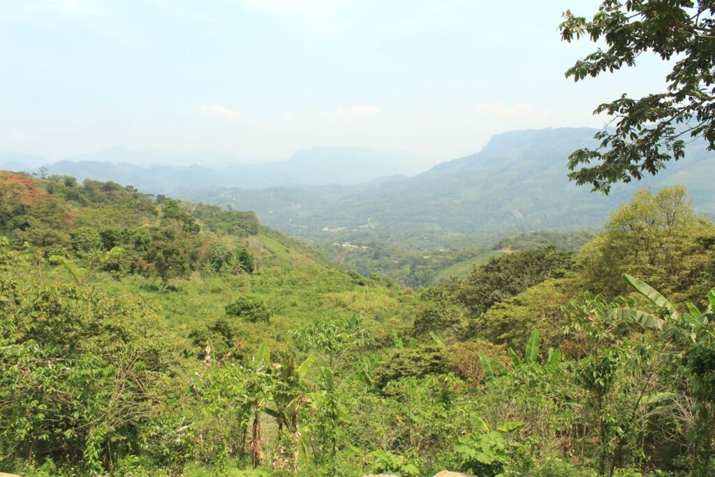 The story behind the man | Daniel Morrell