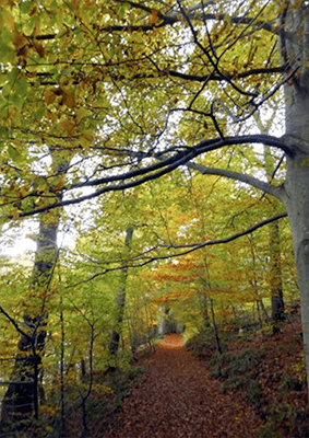 The story behind the man | Daniel Morrell