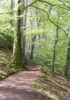 The story behind the man | Daniel Morrell