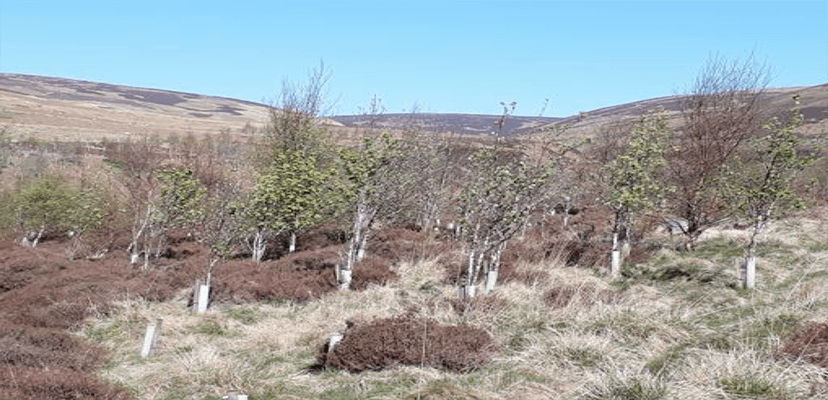 The story behind the man | Daniel Morrell