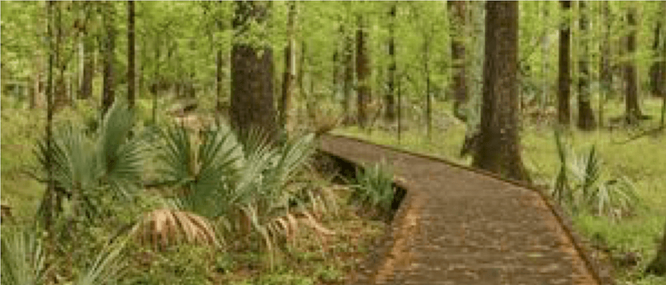 The story behind the man | Daniel Morrell