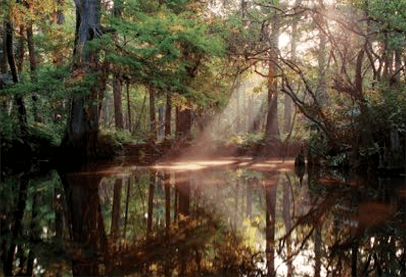 The story behind the man | Daniel Morrell